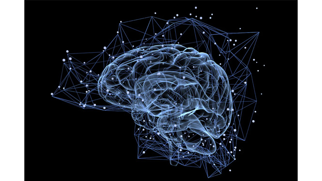 What is citicoline