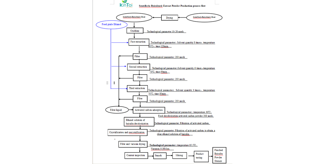 Baicalin powder production process