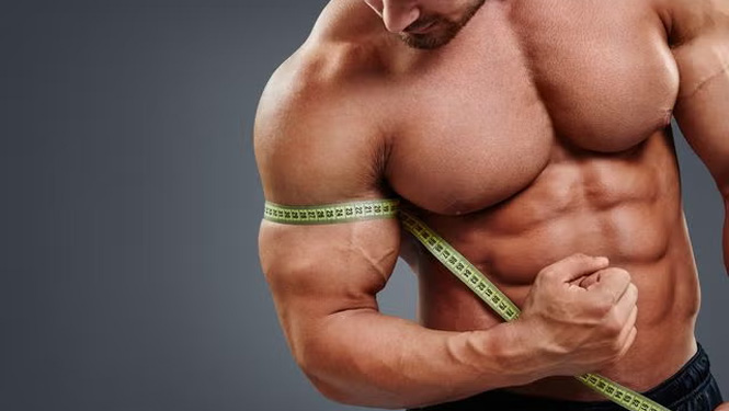 Turkesterone vs Ecdysterone: Which is Better？