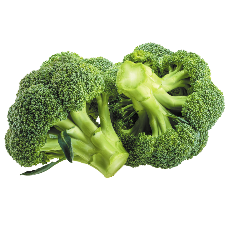 Broccoli Extract Powder