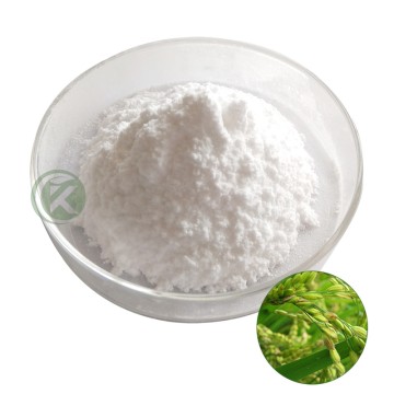 Rice Bran Extract Powder
