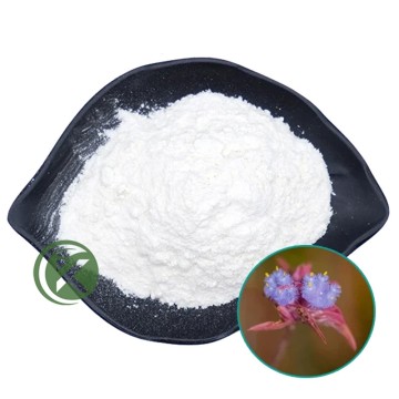 Beta Ecdysterone Bulk Powder