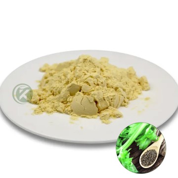 Celery Extract Powder-1
