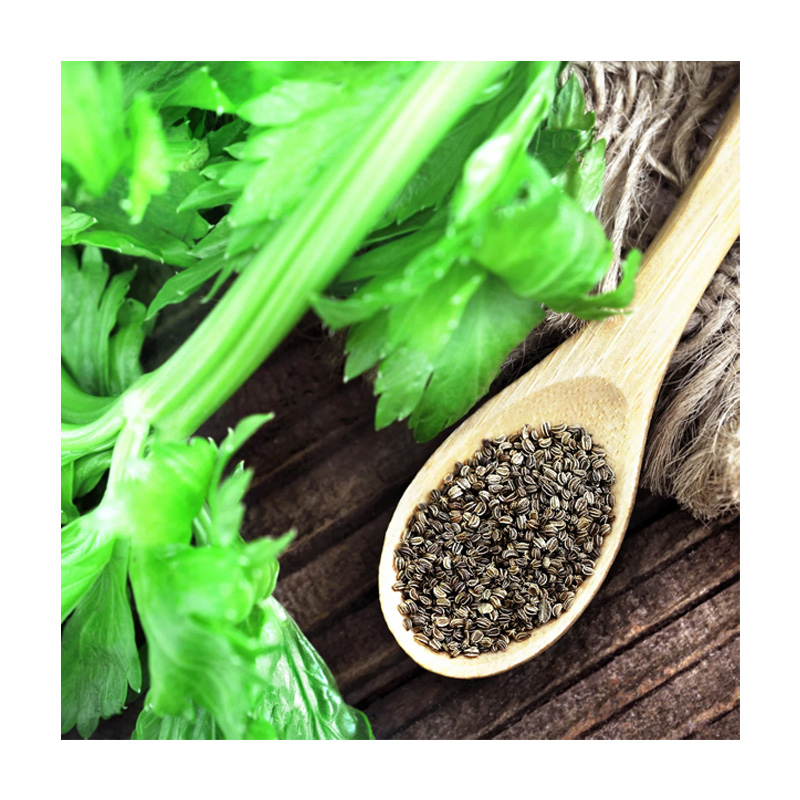 Celery Extract Powder