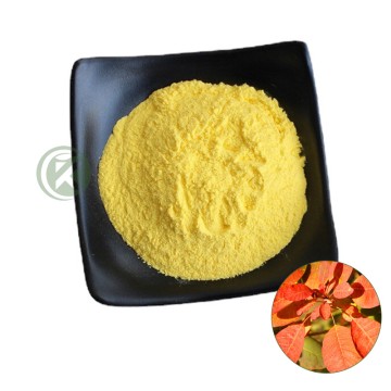 Fisetin Powder​