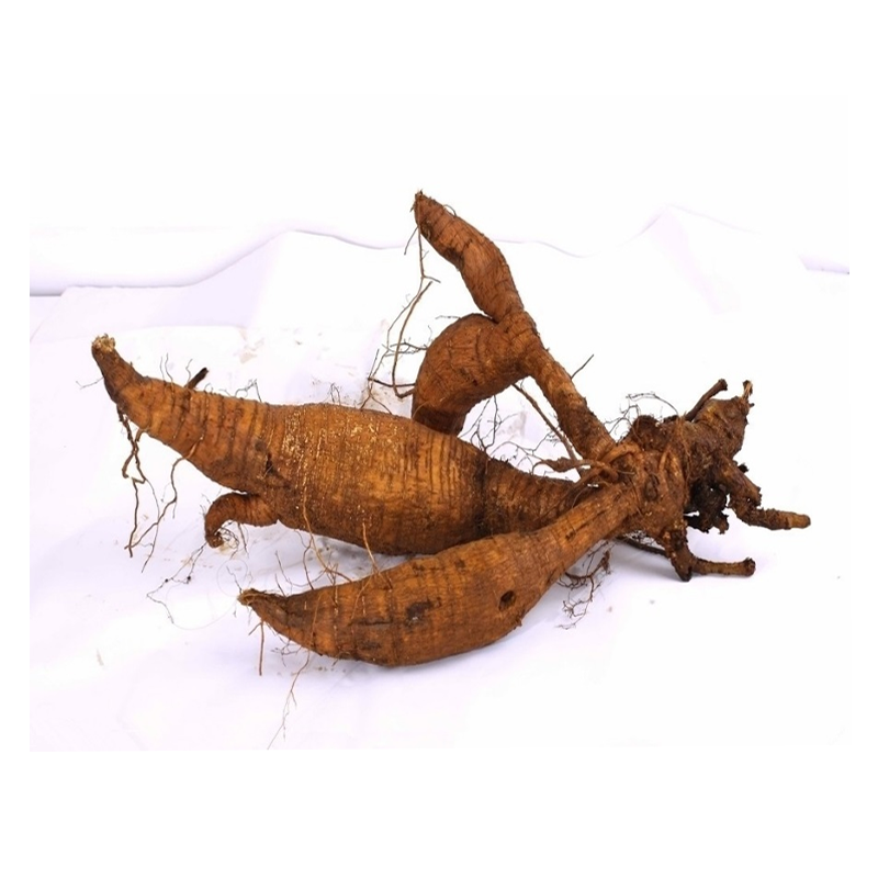 Pueraria Lobata Root Extract