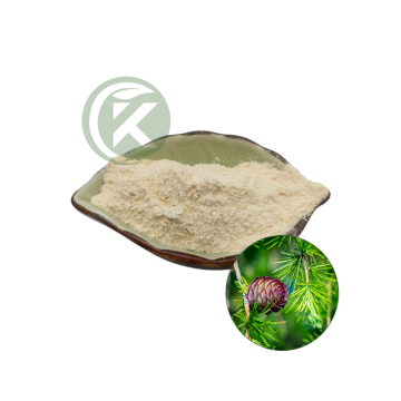 Factory Supply Larch Bark Extract 98% Dihydroquercetin Taxifolin Powder