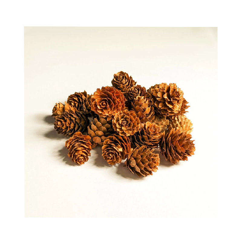 Taxifolin Dihydroquercetin