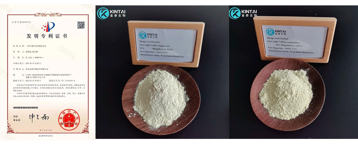 mangiferin-production