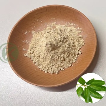 Buy Mangiferin Powder