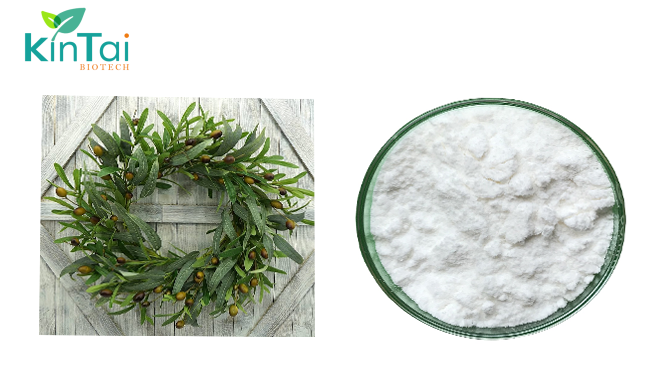 oleanolic acid powder