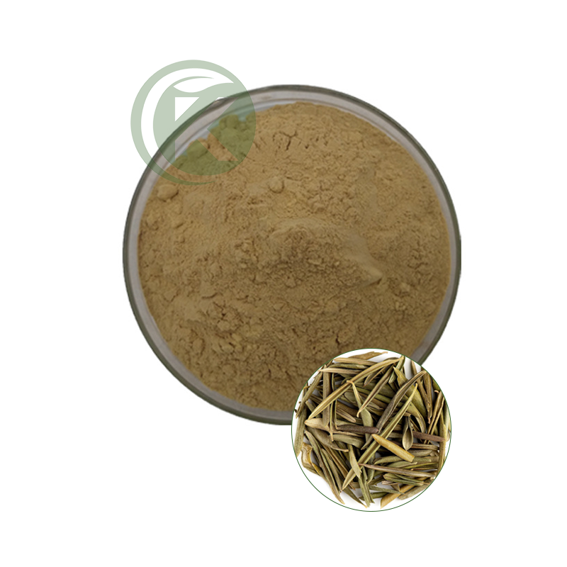 Olive Leaf Extract Oleuropein Powder