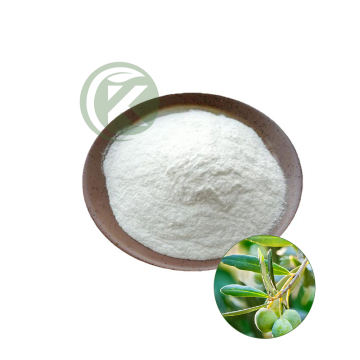 Olive Leaf Extract Oleanolic Acid Powder