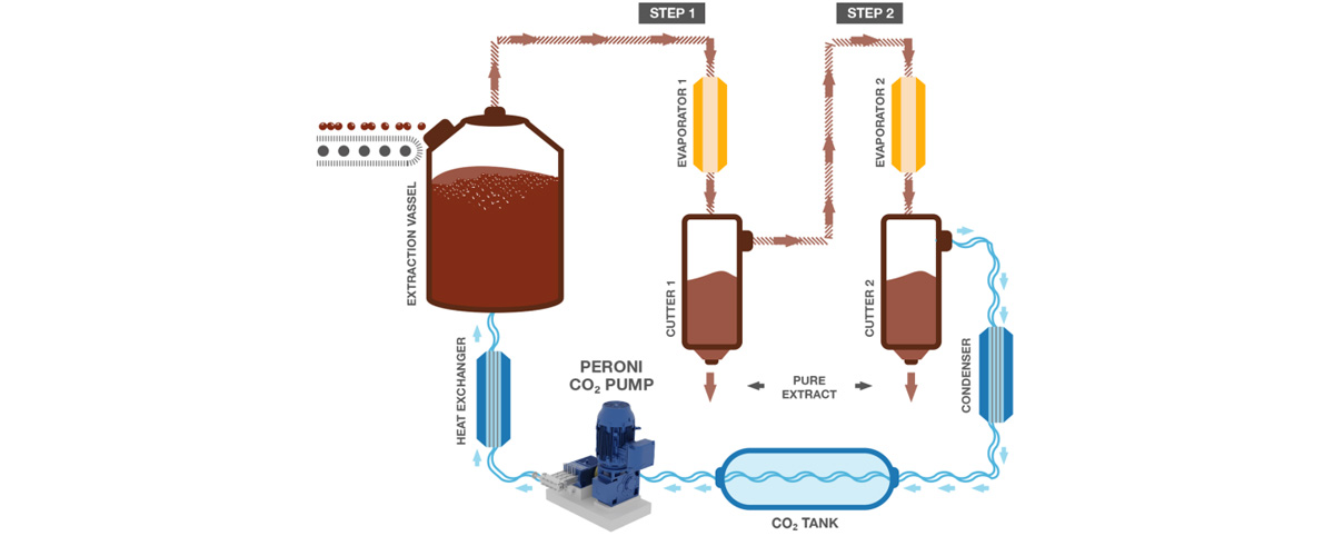 Shikimic Acid Powder Production Process