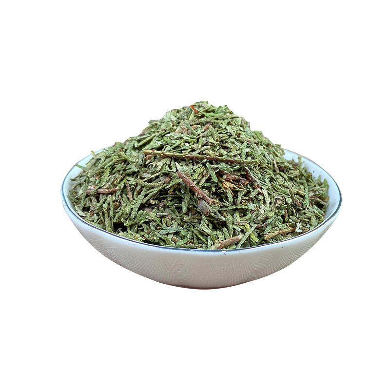 Factory Supply Natural Cacumen Platycladi Extract Quercitrin Powder