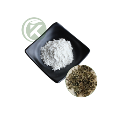 Vine Tea Extract Powder | DHM Supplier & Manufacturer