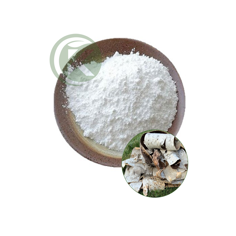 Betulin Powder.png