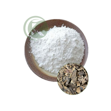 Birch Bark Extract Powder