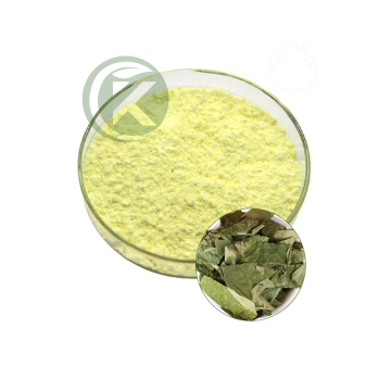 Epimedium Extract Powder