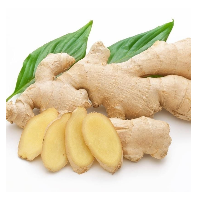 Ginger Extract Powder