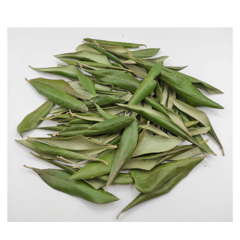 Olive Leaf Extract Powder