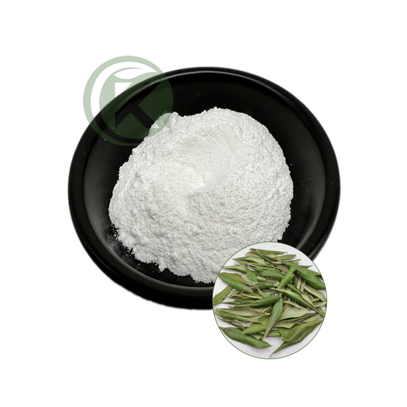 Bubuk Ekstrak Daun Zaitun.png