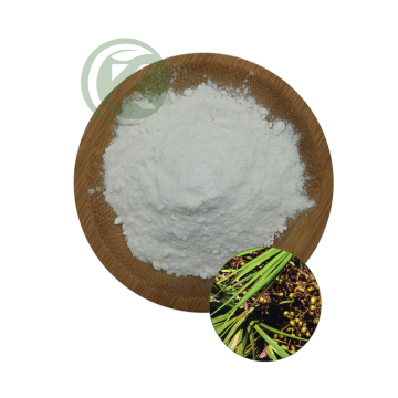 Saw Palmetto Extract Powder