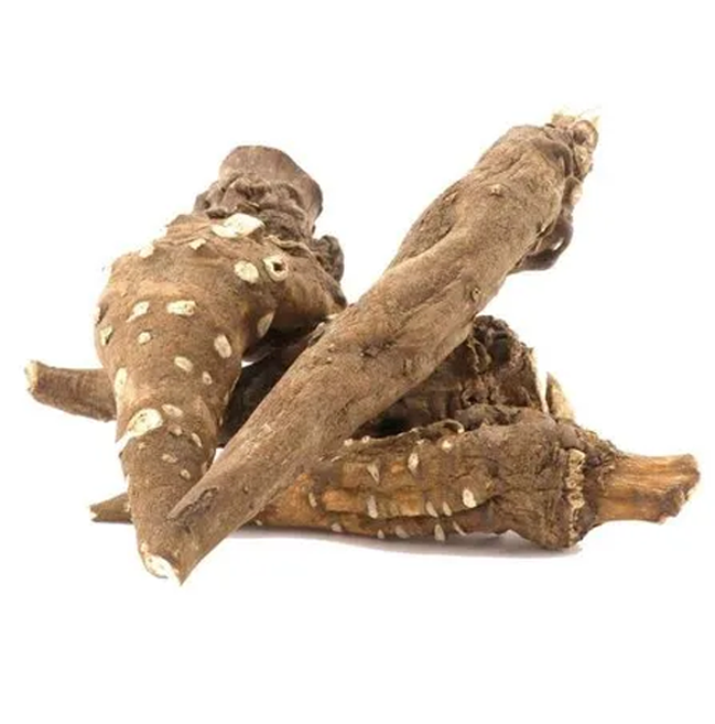 Aconite Root Extract