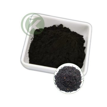 Black Rice Extract Powder