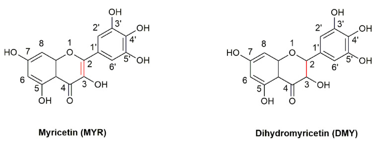 Dihydromyricetin vs Myricetin