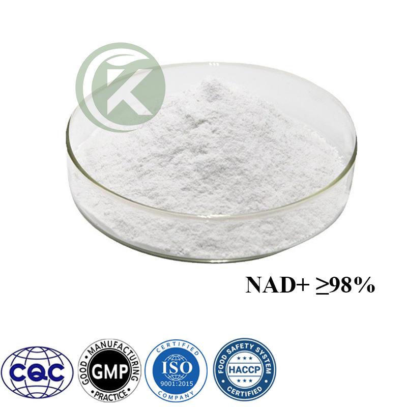 Nicotinamide Adenine Dinucleotide Powder.png