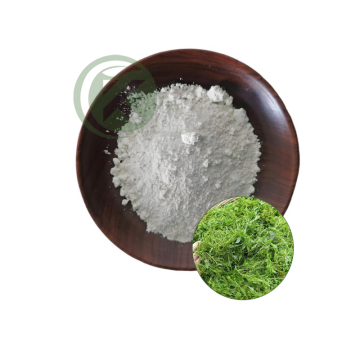 Ampelopsis Grossedentata Extract Dihydromyricetin