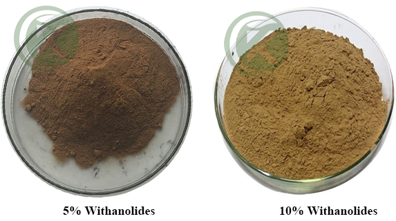 5% & 10% Indian Ginseng Extract Powder