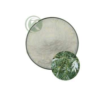 White Willow Bark Extract Powder