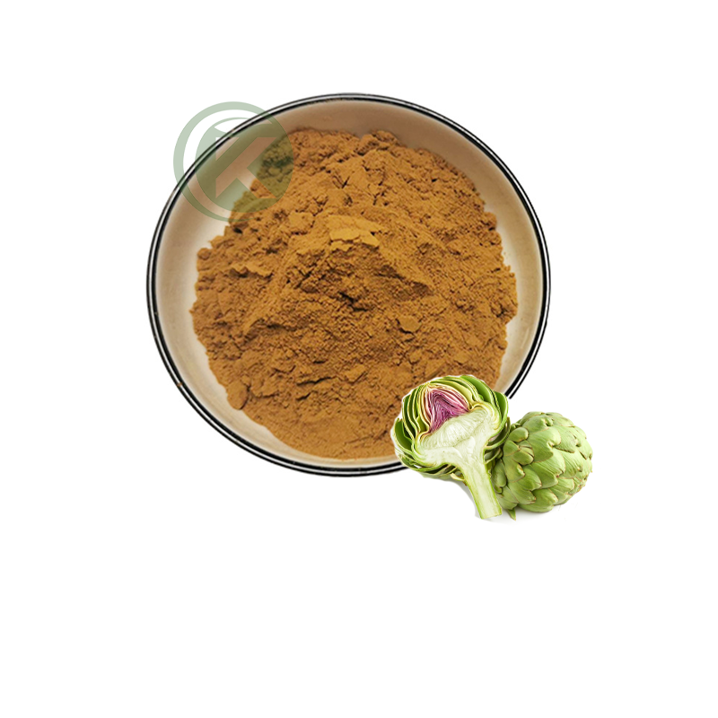 Artichoke Extract Powder.png