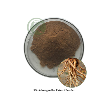 Ashwagandha Extract Powder