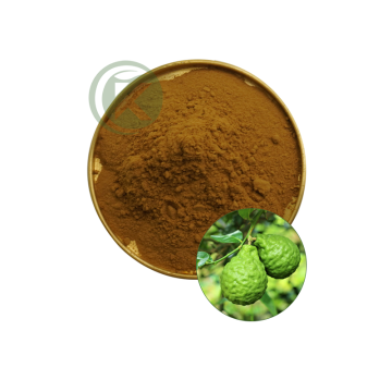 Bergamot Extract Powder