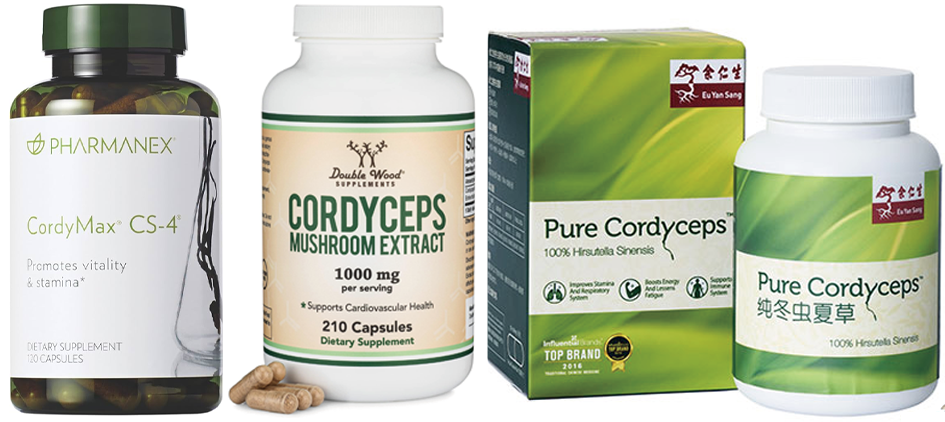 Cordyceps Extract Powder APPLICATIONS 1