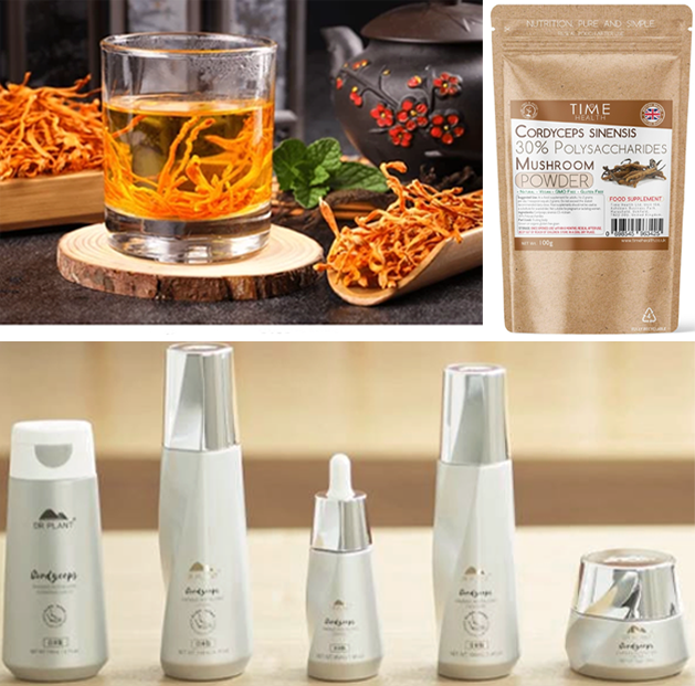 Cordyceps Extract Powder APPLICATIONS 2