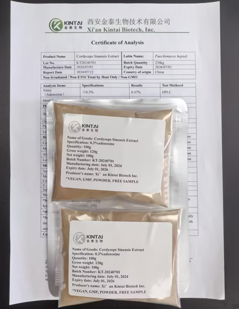 Cordyceps Extract Powder COA