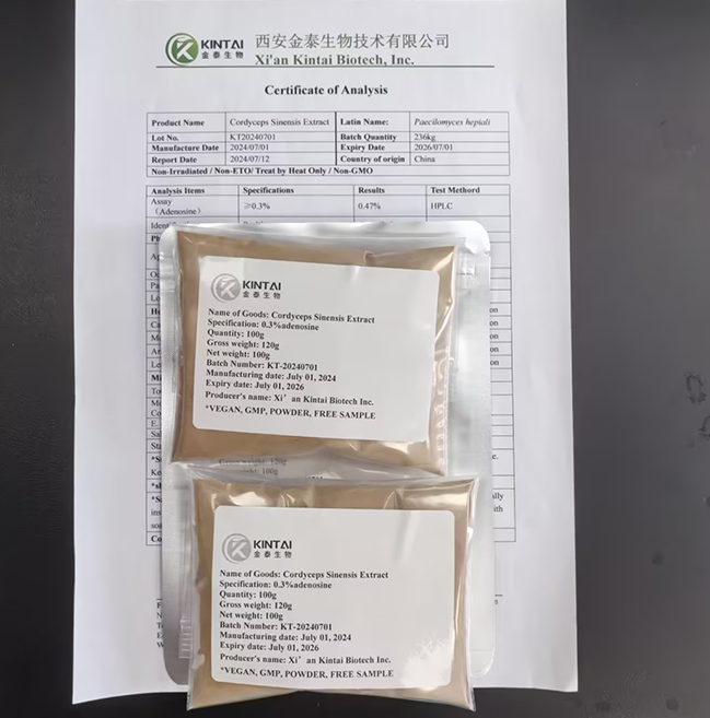 Cordyceps Sinensis Extract Powder.png