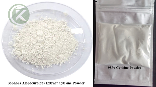cytisine powder 1