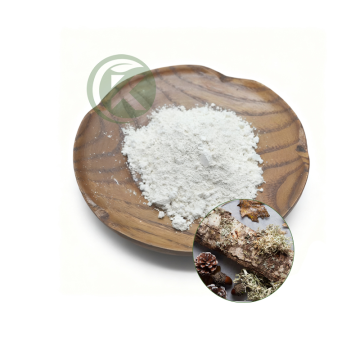 Larch Bark Extract Powder