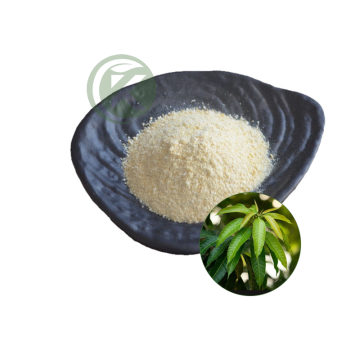 Buy Mangiferin Powder