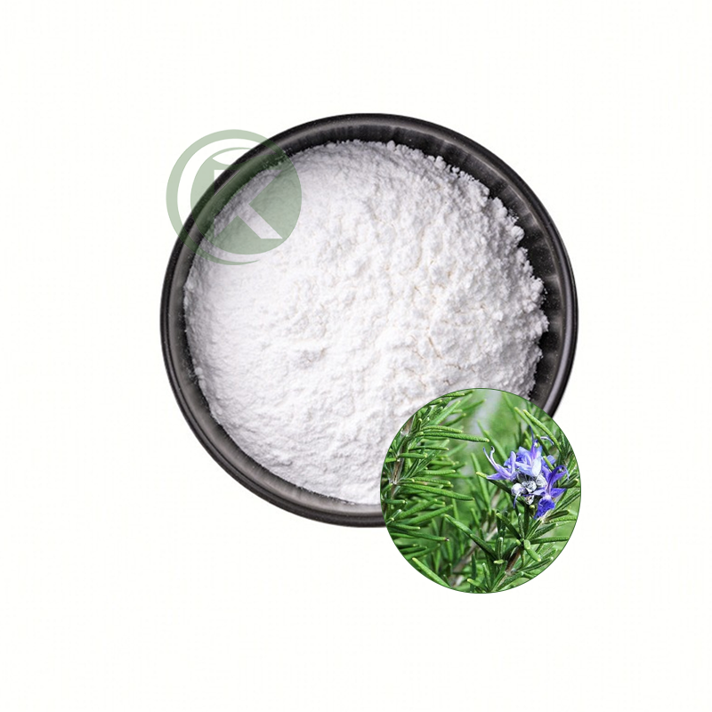 Rosmarinic Acid Powder