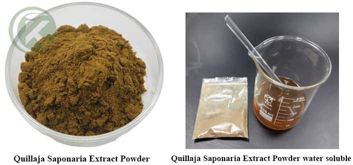 60% & water soluble Quillaja Saponaria Extract Powder