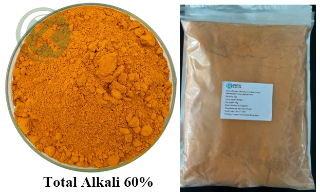 Macleaya Cordata Extract Powder