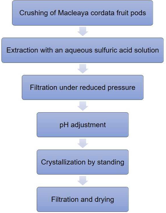 Macleaya Cordata Extract Production Process