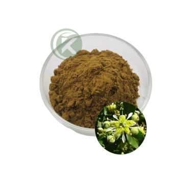 Quillaja Saponaria Extract Powder