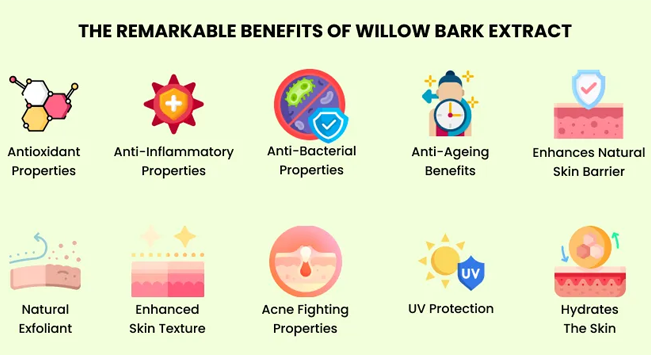 Willow bark extract benefits.png